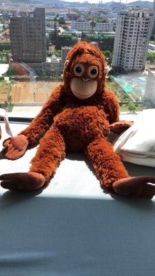 Punchy: Baby Orangutan  Monkey Plushie | Cute Stuffed Animal Monkey