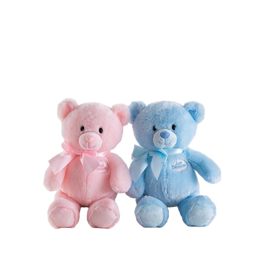 Confetti: Mini Gender Reveal Bear