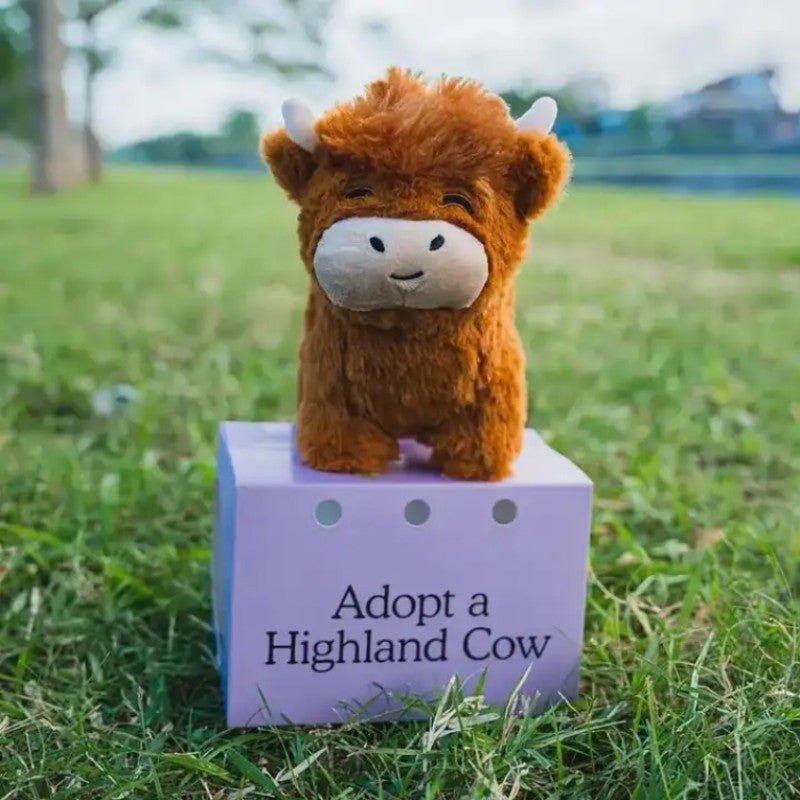 Chunky Highland Cow Plushie