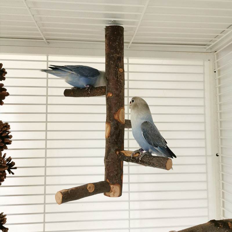 Perch & Play: Parrot Wood Stand | Parakeet Playland