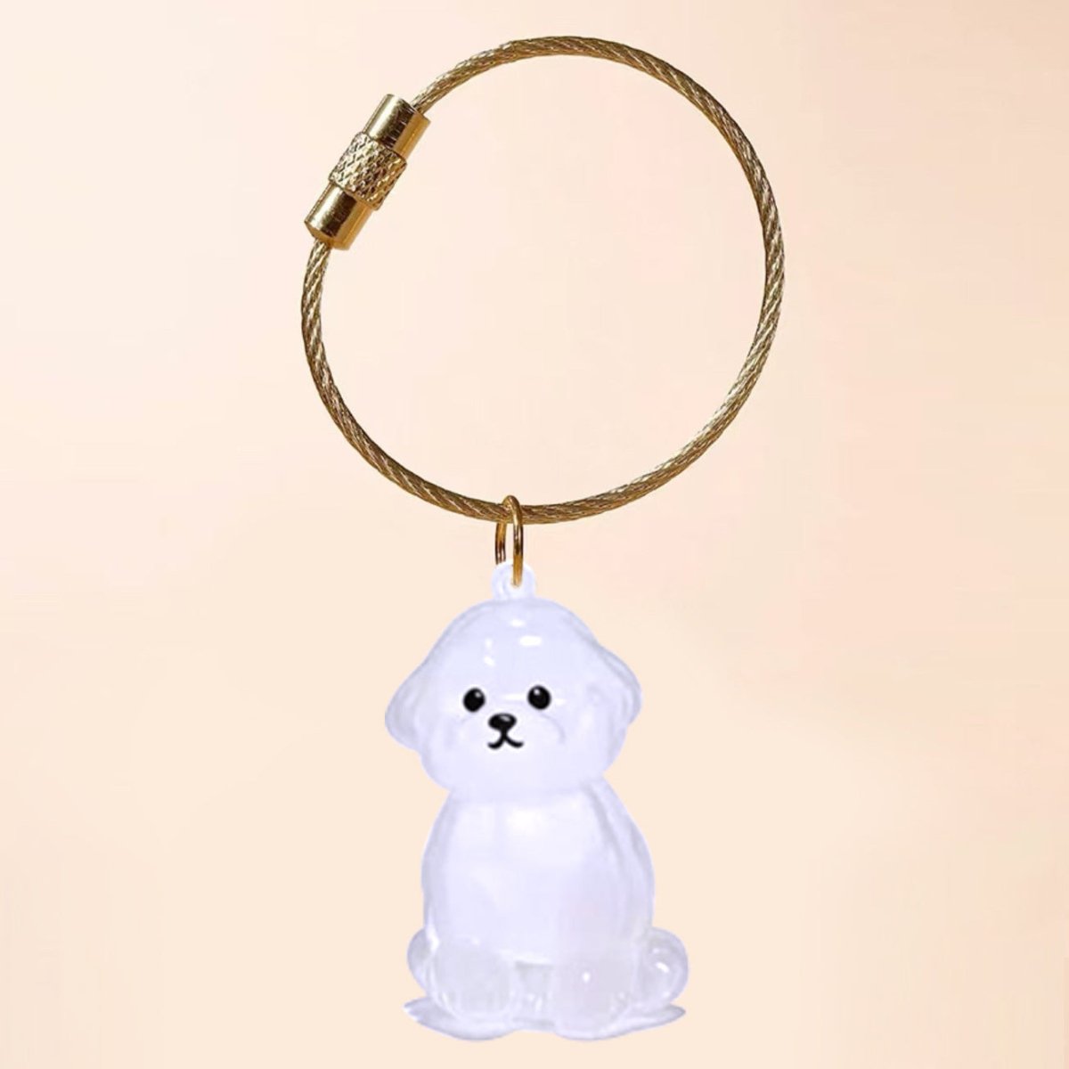 FurEver With Me Keyring | Memory Charm Keychain
