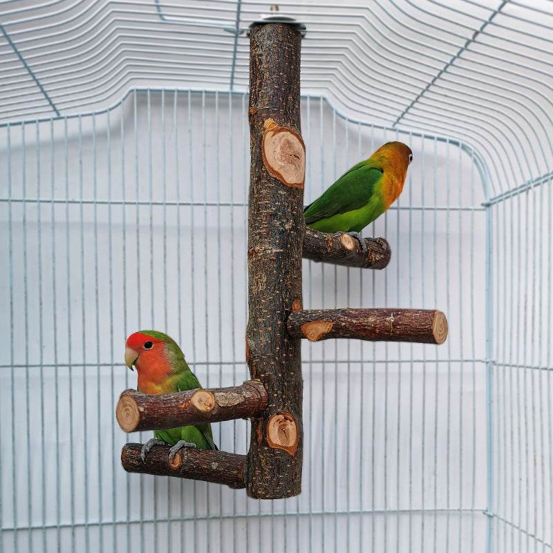 Perch & Play: Parrot Wood Stand | Parakeet Playland