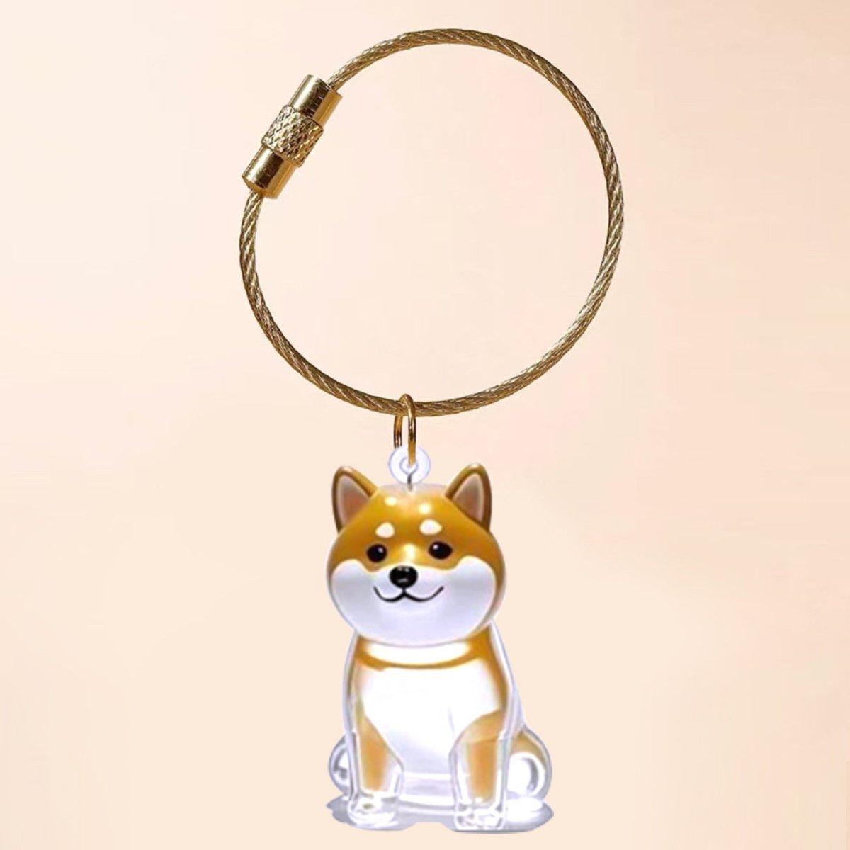 FurEver With Me Keyring | Memory Charm Keychain