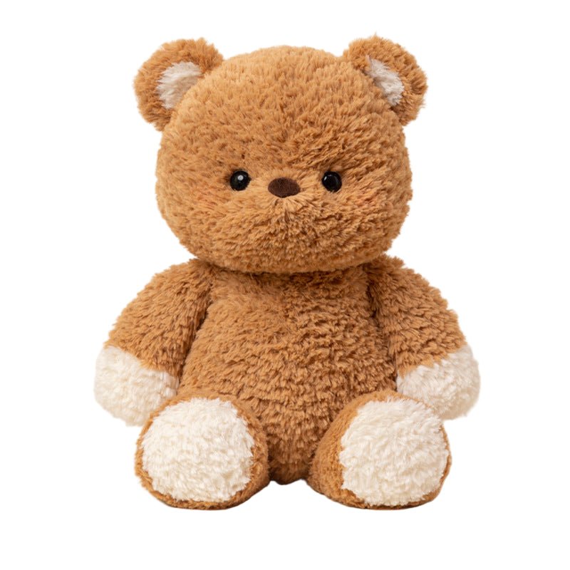 Choco: Cute Chubby Teddy bear | Mini Brown Teddy bear