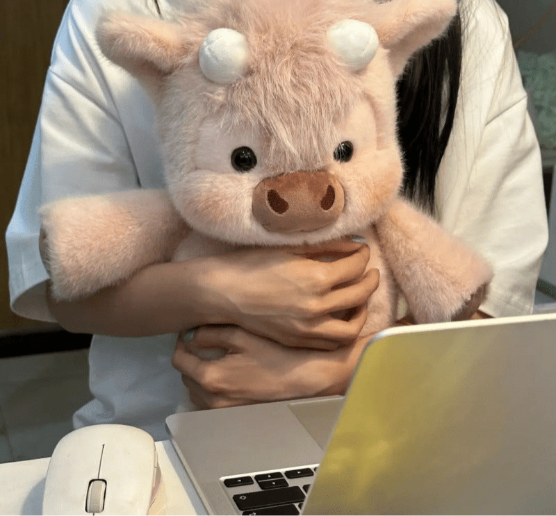 Chubby Highland Cow Plushie