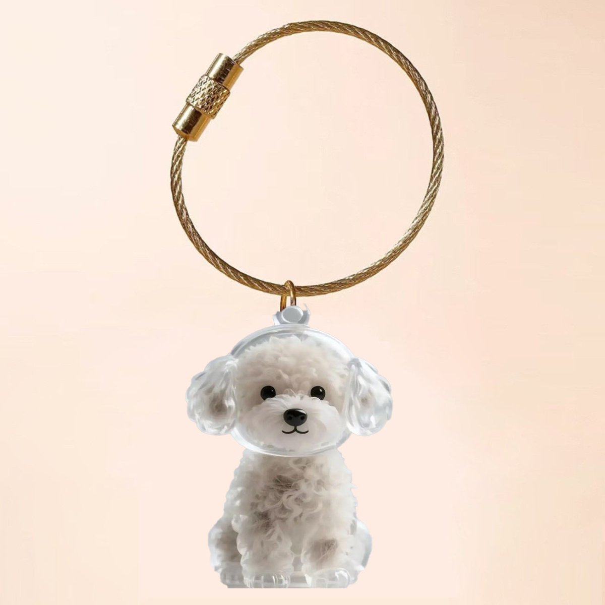 FurEver With Me Keyring | Memory Charm Keychain