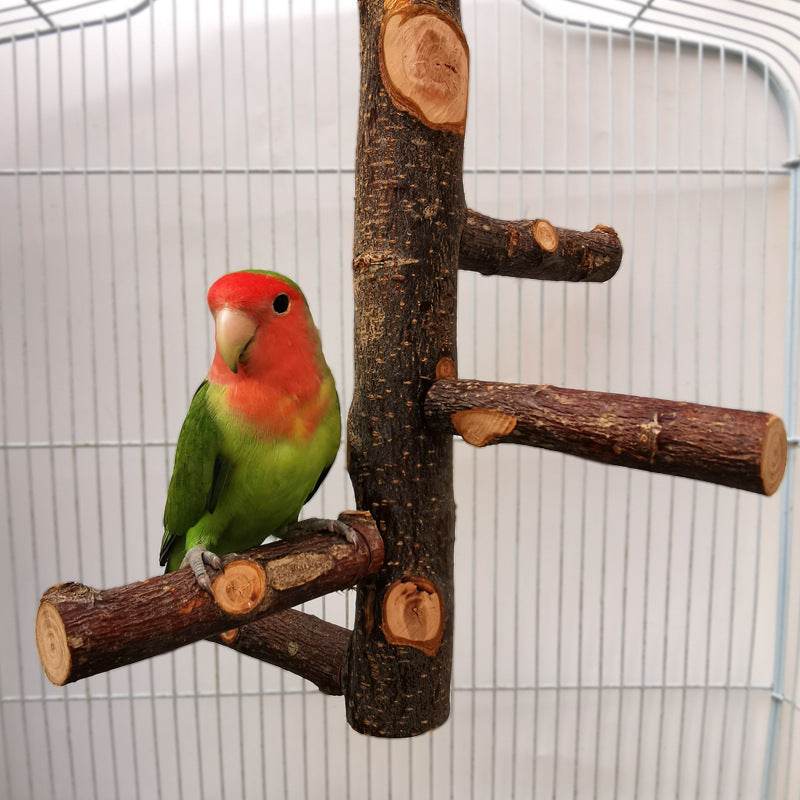 Perch & Play: Parrot Wood Stand | Parakeet Playland
