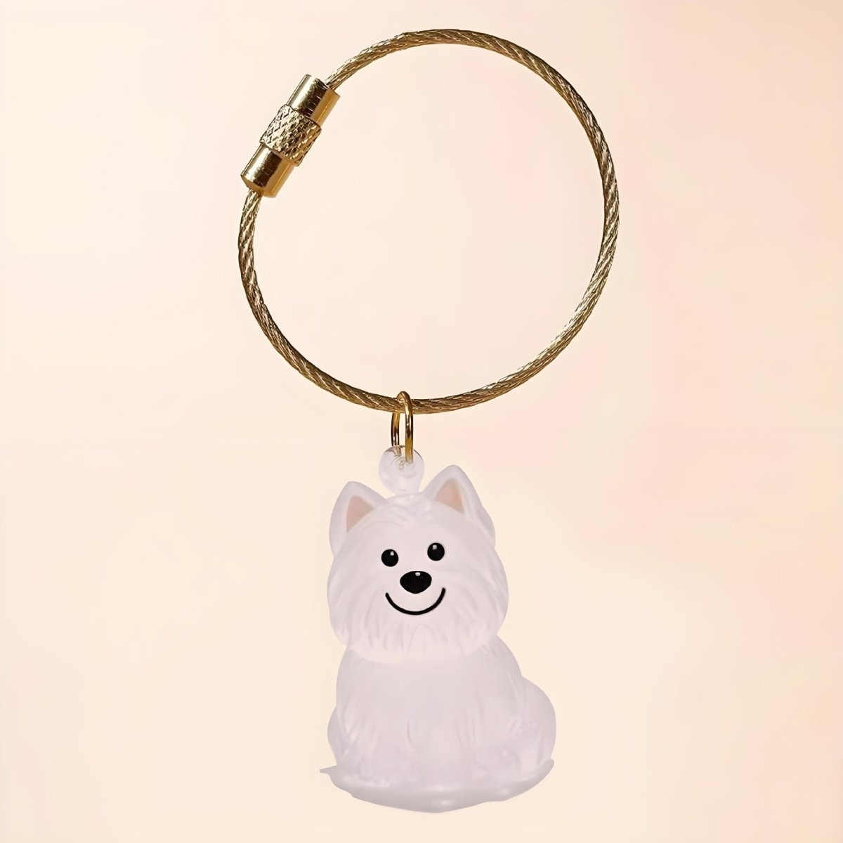 FurEver With Me Keyring | Memory Charm Keychain